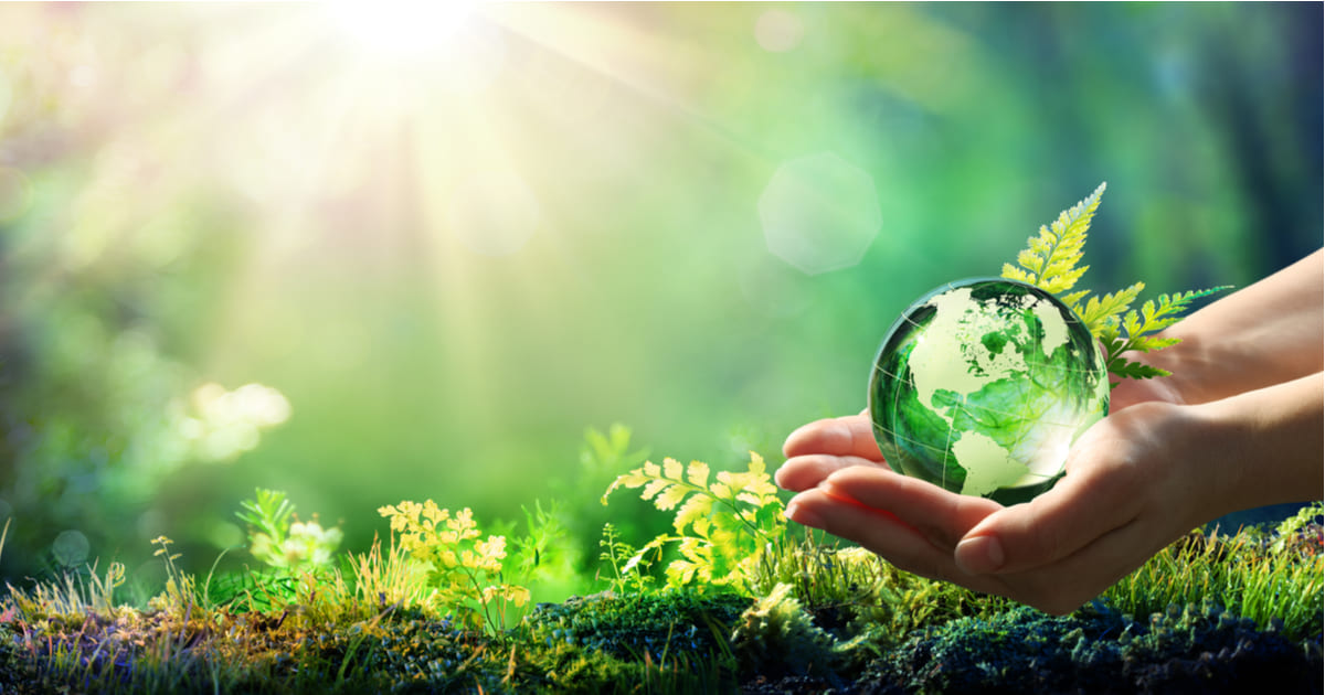 O que é sustentabilidade ambiental e qual sua importância?